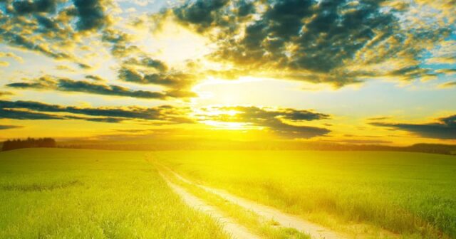 Tips Moving In Summer