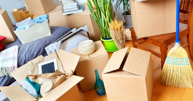 Understanding the Dynamics of Moving Company Prices