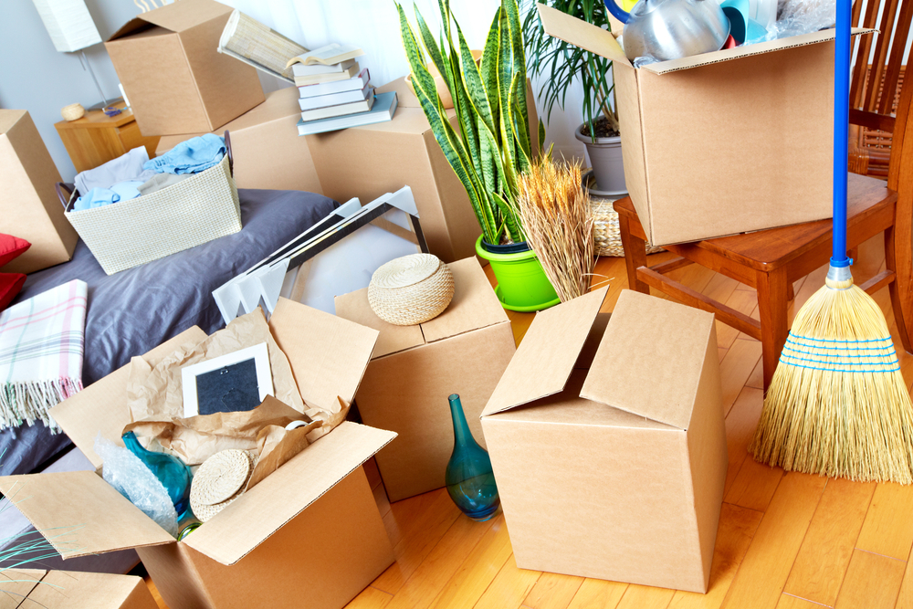 Understanding the Dynamics of Moving Company Prices