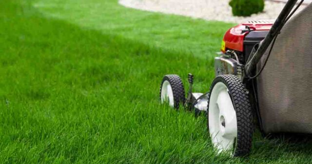 How to Pack and Move a Lawn Mower?