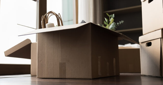 Affordable Moving Solutions with Sprint Mover