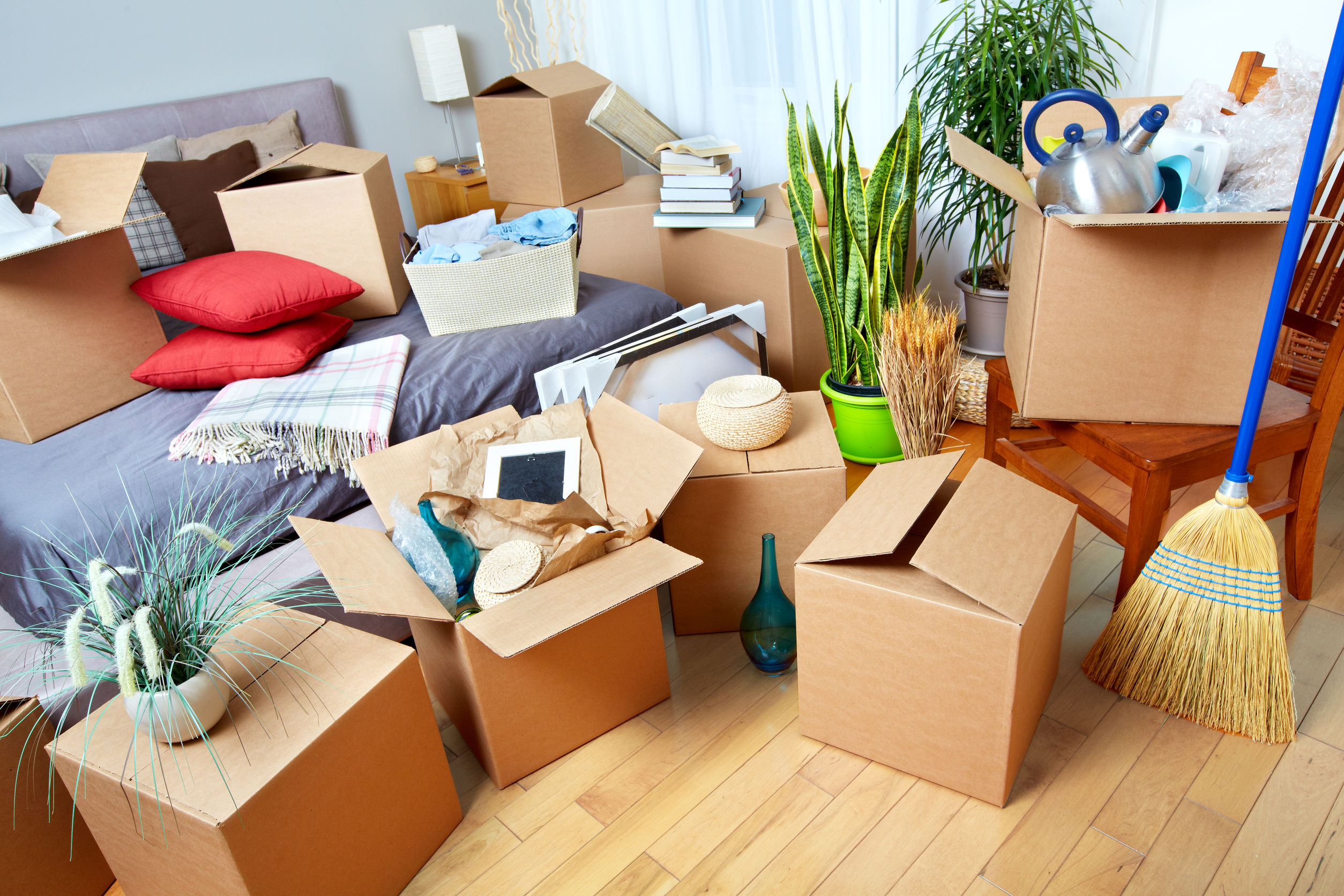 A Complete Guide to Hassle-Free Office Relocation