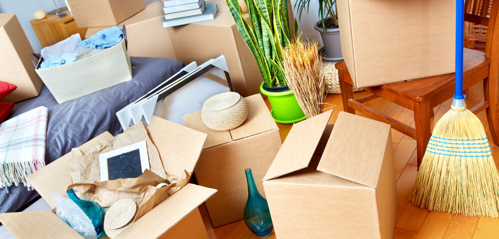 Understanding the Dynamics of Moving Company Prices