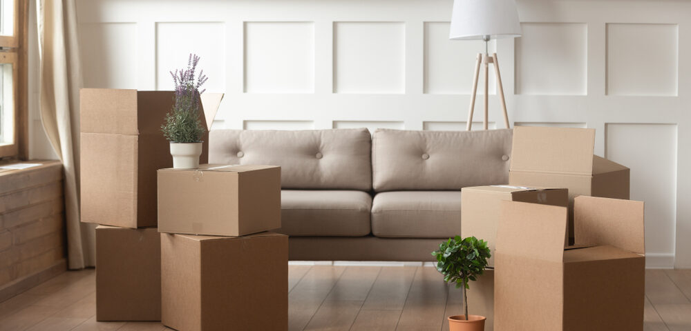 Full-service couch movers offering delivery and setup