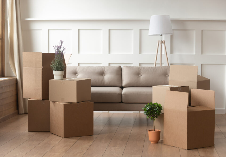 Full-service couch movers offering delivery and setup